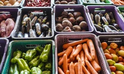 Altas temperaturas impactam venda de bebidas e alimentos