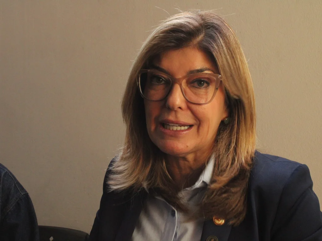 Deputada detalha projeto que prevê indenização automática por interrupções de energia