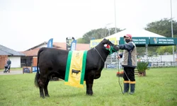 Associação e Embrapa  divulgam resultados  de pesagem