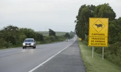 MEC antecipa prazos de inscrições do Sisu, Prouni e Fies