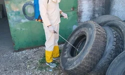 Bagé reforça ações de combate a dengue com ovitrampas