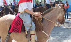 Procon de Bagé destaca chance de ‘limpar o nome’