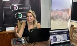 Polícia Civil apreende 15 celulares em cela do Presídio