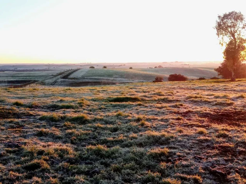 Inverno será típico: com chuvas e frio no Estado