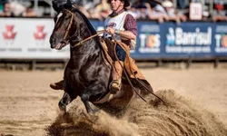 Crioulaço abre o calendário de finais da raça Crioula