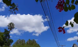 Quarta-feira de Cinzas marca abertura de período importante para católicos