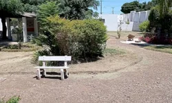 Quebra na lavoura do milho chega a 60% na região