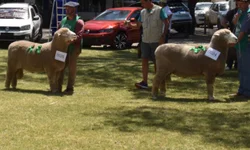 Agrovino tem recorde de inscritos, programação intensa e expectativas positivas