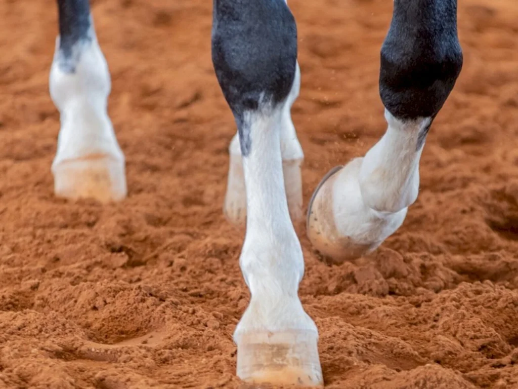 Regras para o agendamento de provas são alteradas