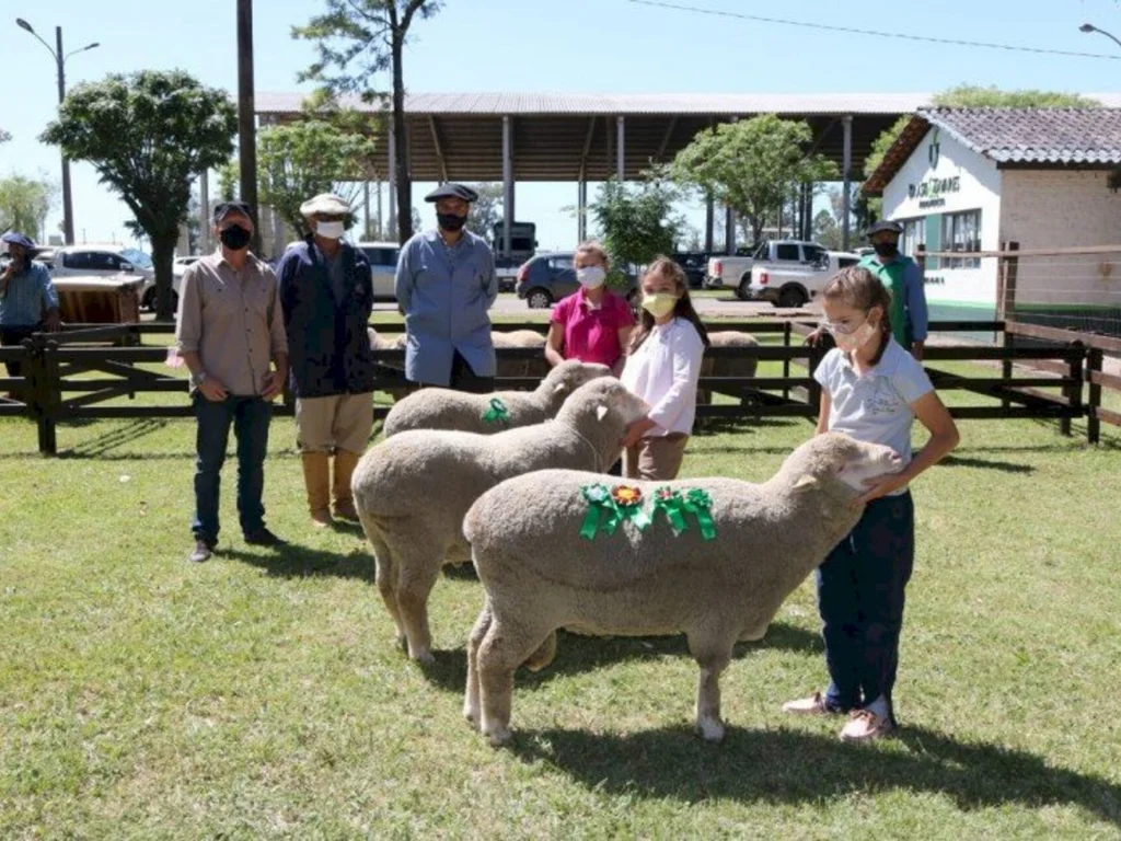 Sindicato de Bagé recebe capacitação para acessar Fundovinos