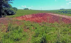 Cooperativa de assentados é referência em sementes orgânicas