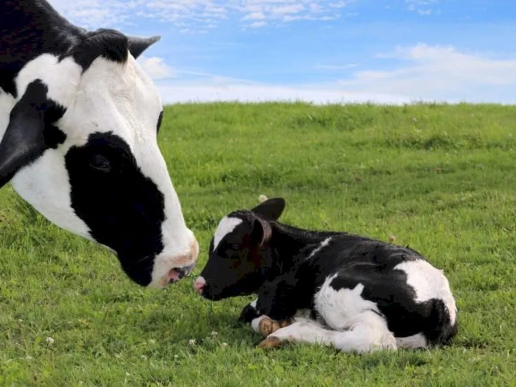 Fetag assume coordenação da Câmara Setorial
