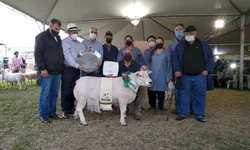 Desfile dos campeões marca abertura oficial da Expointer