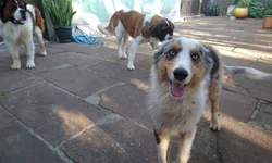 Verão começa sob influência do fenômeno La Niña