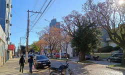 Aciba celebra inserção de jovens no mercado de trabalho