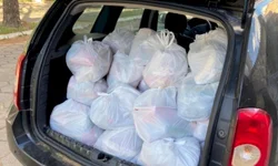 A volta dos gafanhotos