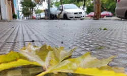 Do banho na sanga ao índio Cobra Coral