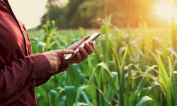 Cadastro para agricultores é atualizado