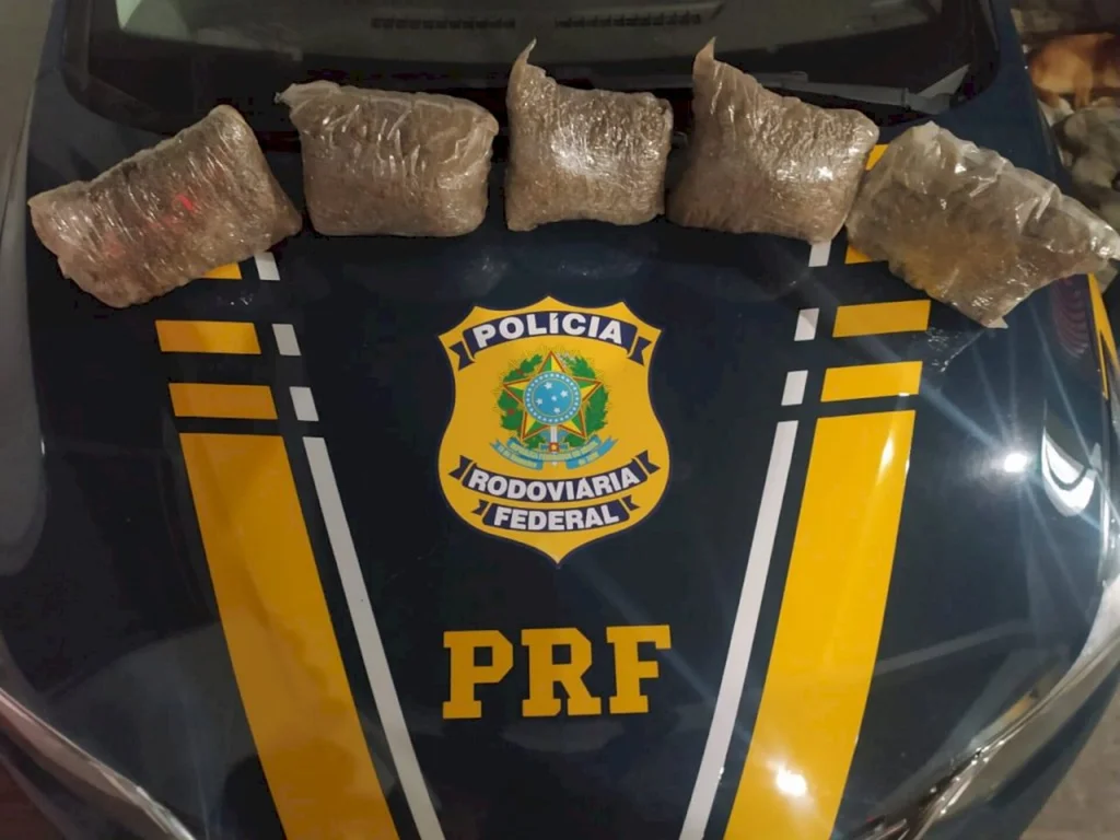 ‘Supermaconha’ seria entregue em Bagé