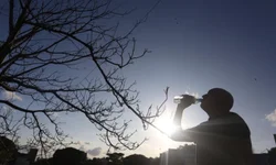 Morre o professor Marco Antônio Ramos