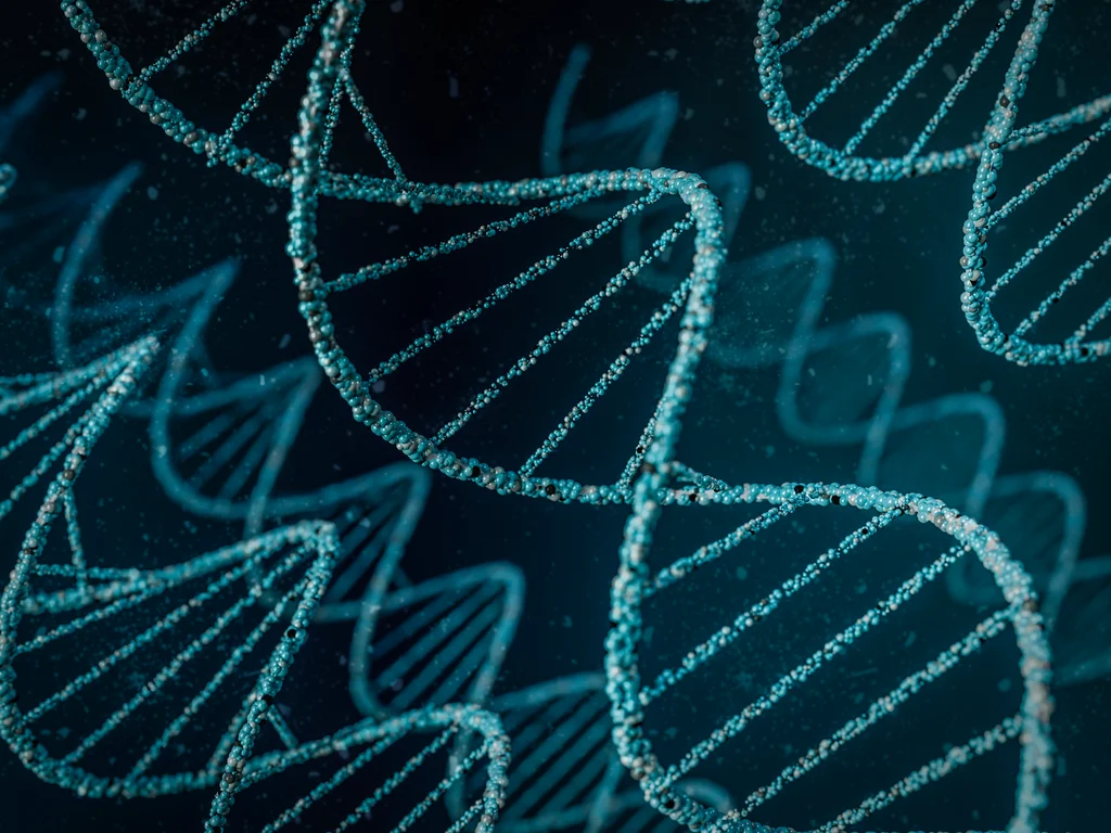 Brasil lidera em registro de perfis de DNA e restos mortais