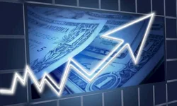 Dados apontam evolução das lavouras de grão