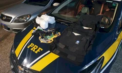 MDB gaúcho elege novo presidente