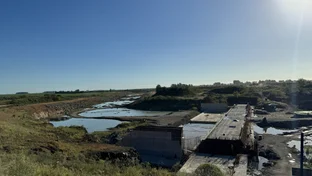 Arvorezinha chega à metade da execução e assegura recursos federais