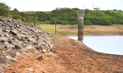 Feriado na sexta-feira altera principais serviços