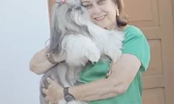 Eles são um bálsamo