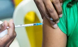 Estado recebe 356 mil doses da vacina contra a gripe