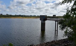 MDB gaúcho elege novo presidente