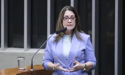 Municípios discutem criação de fundos para reintegração de egressos do sistema prisional