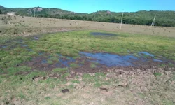 OAB lança campanha contra assédio moral e sexual