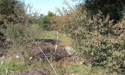 Réu permanece calado e é condenado a mais de 12 anos