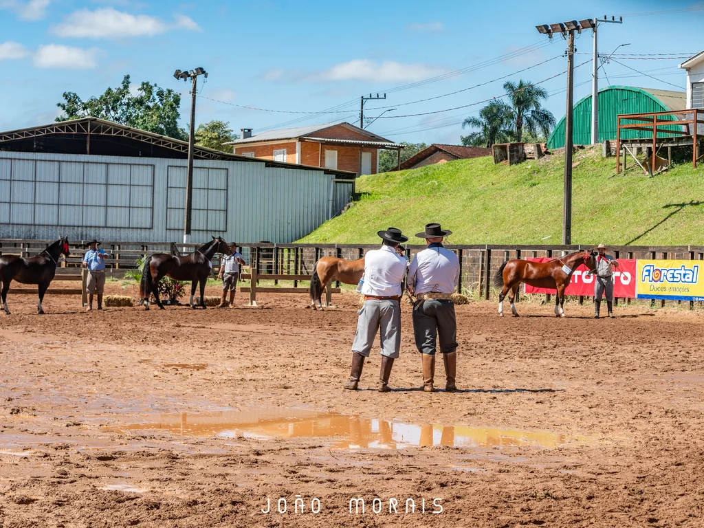 Cavalo Crioulo terá Passaporte em Candiota