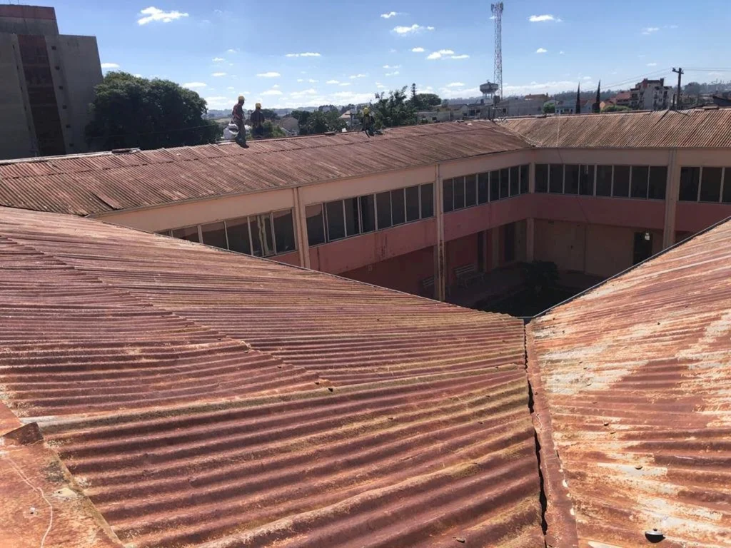 Ação em favor do Instituto São José irá sortear égua e potranca