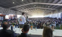 Exposição de lã com leilão beneficente começa hoje