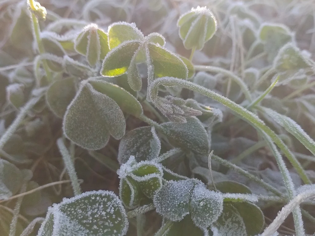 MetSul desmente alarde sobre onda de frio