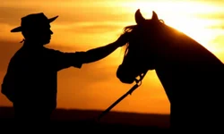 Fernando Risch é homenageado na 38ª Feira do Livro de Canoas