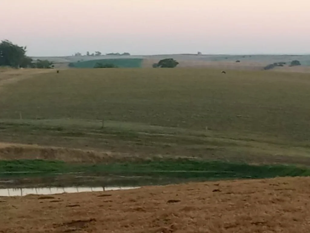 Agricultura repassa informações sobre ações ao pequeno produtor