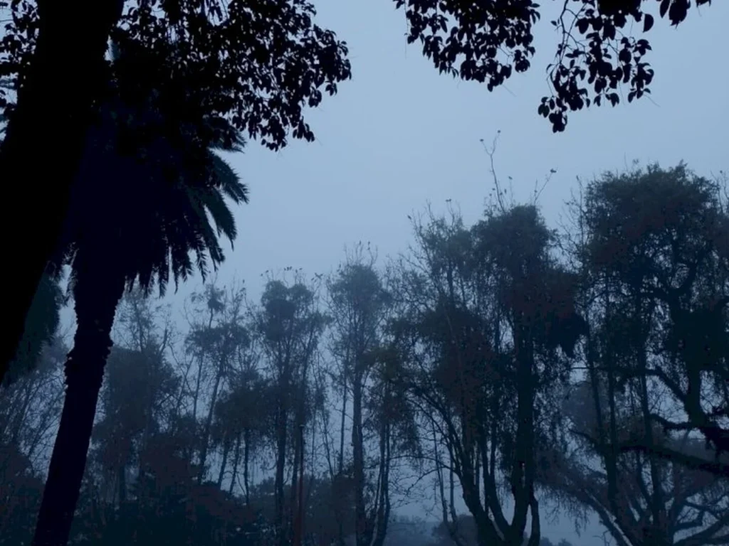 Falta de luz foi por ‘ocorrência em transformador’