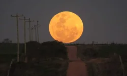 Coleta de sangue resulta em mais de 70 bolsas