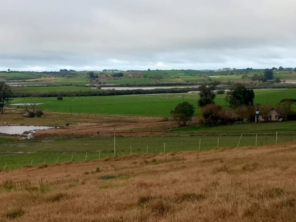 Expectativa de vida na região da Campanha chega a 75,56 anos