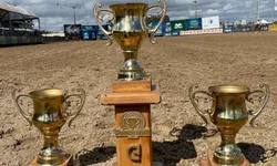 Finais do Cavalo Crioulo valorizam o trabalho dos domadores