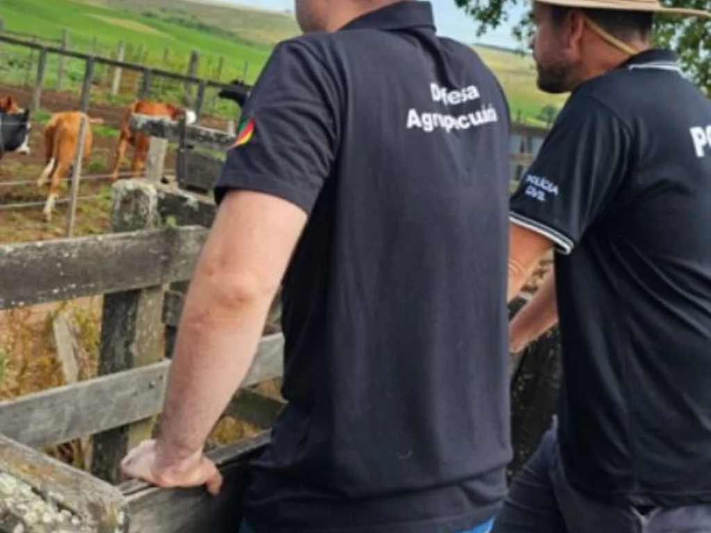 Animais furtados são apreendidos em Dom Pedrito