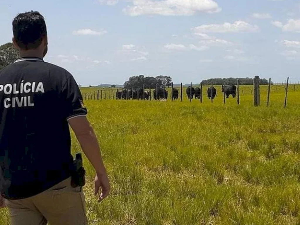 Polícia Civil deflagra Operação Bento Rengo e cumpre 5 prisões por abigeato em Bagé