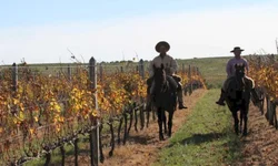 Bagé discute políticas de assistência social