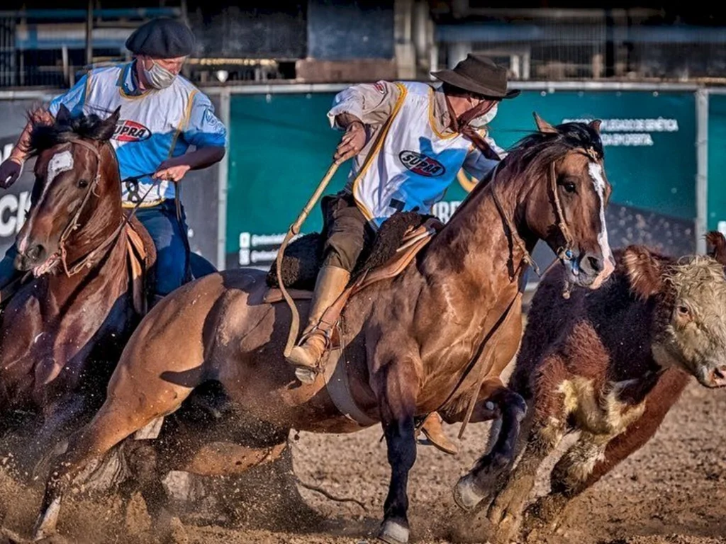 Bocal de Ouro 2021 aponta os vencedores