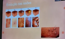 Homenagem a Pepe Mujica é marcada por protesto